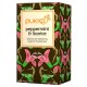 Peppermint & Licorice Teabags 20 Pack - Pukka