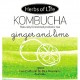 Kombucha Ginger & Lime 330ml - Herbs of Life